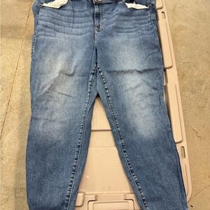 Torrid Blue Women's Jeggings